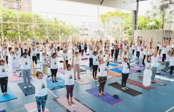  IDY 2024 celebration in Cali, Colombia.